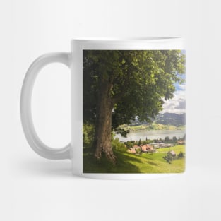 Valley in Switzerland bathing in sunlight Mug